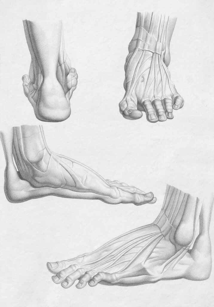 feet detail